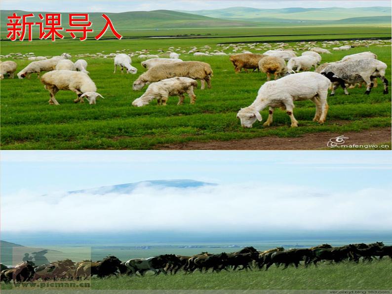 初中历史人教版(部编)七年级下册 第10课蒙古族的兴起与元朝的建立 2 课件01