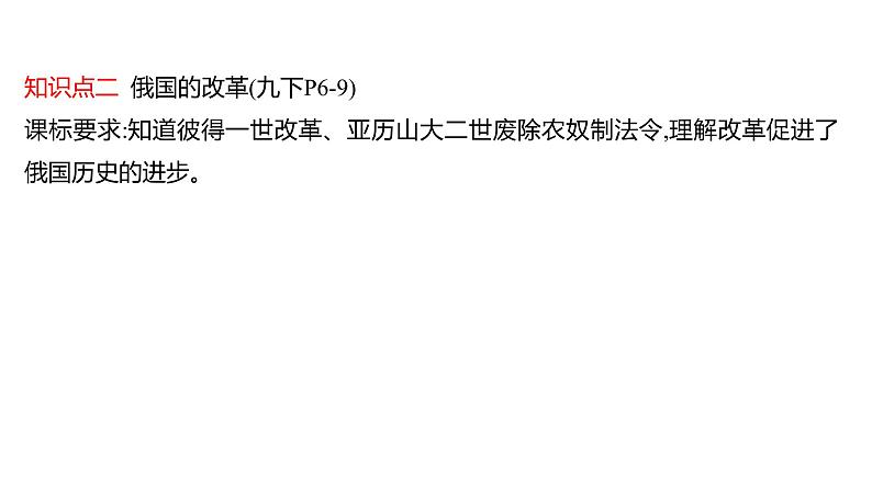 2022年广东省深圳市中考历史一轮复习课件:殖民地人民的反抗与资本主义制度的扩展及近代科学文化第8页