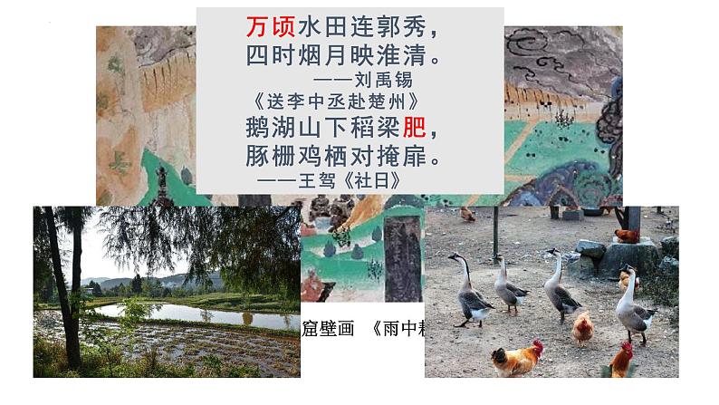 1.3 盛唐气象 课件 2021-2022学年部编版七年级历史下册第8页