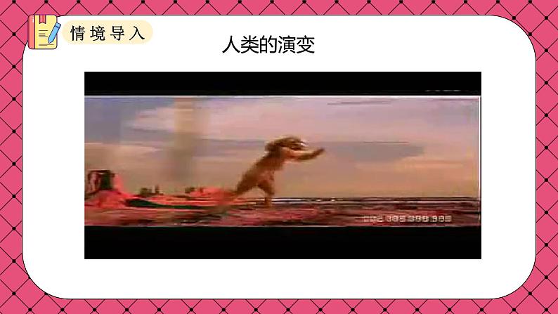 第1课 中国境内早期人类的代表—北京人 (课件)第3页