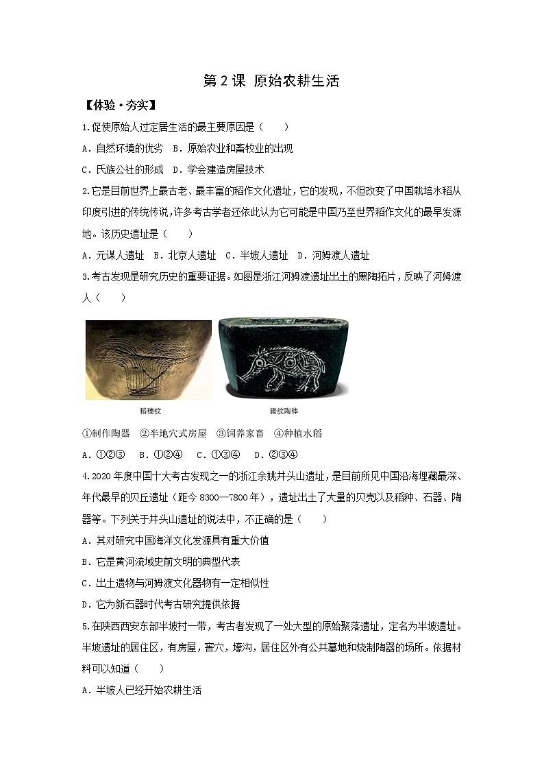 人教版七年级历史上册习题第2课 原始农耕生活第1页
