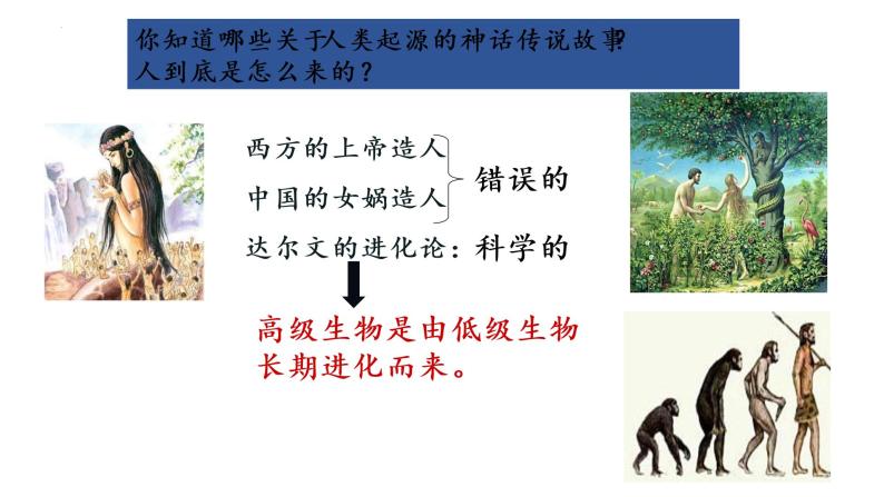 1.1中国境内早期人类的代表--北京人课件2022-2023学年部编版七年级历史上册01