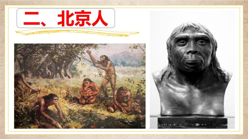 1.1中国境内早期人类的代表--北京人课件2022-2023学年部编版七年级历史上册08