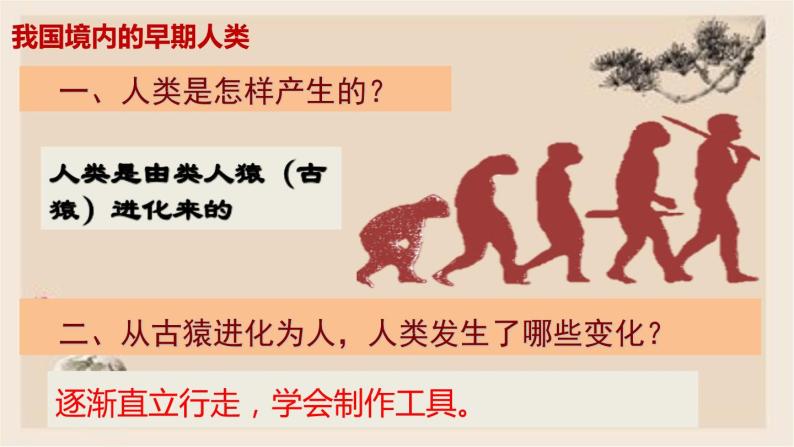人教版历史七年级上册课件第1课 中国境内早期人类的代表——北京人05