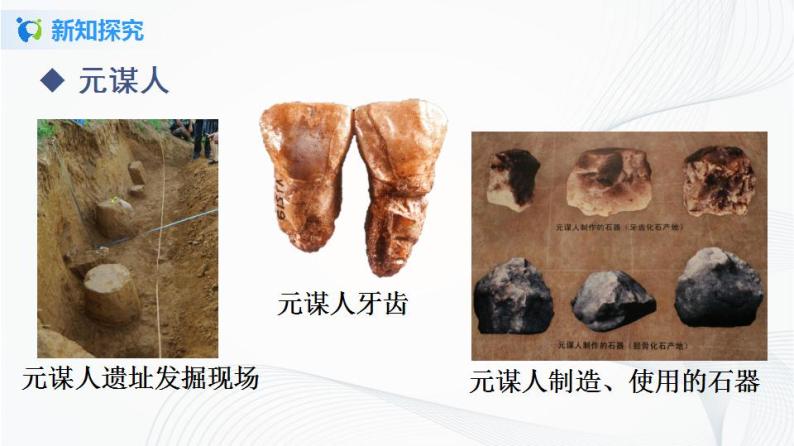 第1课  中国境内早期人类的代表——北京人 课件（29张PPT）+教学设计+同步练习07
