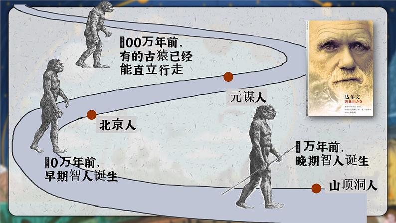 部编版七年级历史上册 第1课 中国境内早期人类的代表——北京人【课件】第4页