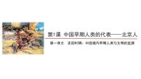 人教部编版七年级上册第一课 中国境内早期人类的代表—北京人优秀ppt课件