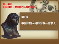 人教部编版七年级上册第一课 中国境内早期人类的代表—北京人图片课件ppt