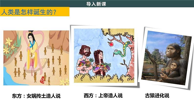 第1课 中国境内早期人类的代表—北京人第3页