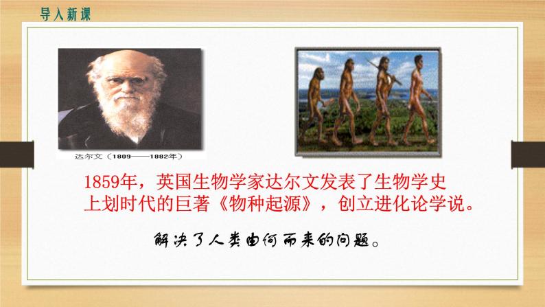 第1课 中国境内早期人类的代表——北京人 课件PPT+教案+导学案03