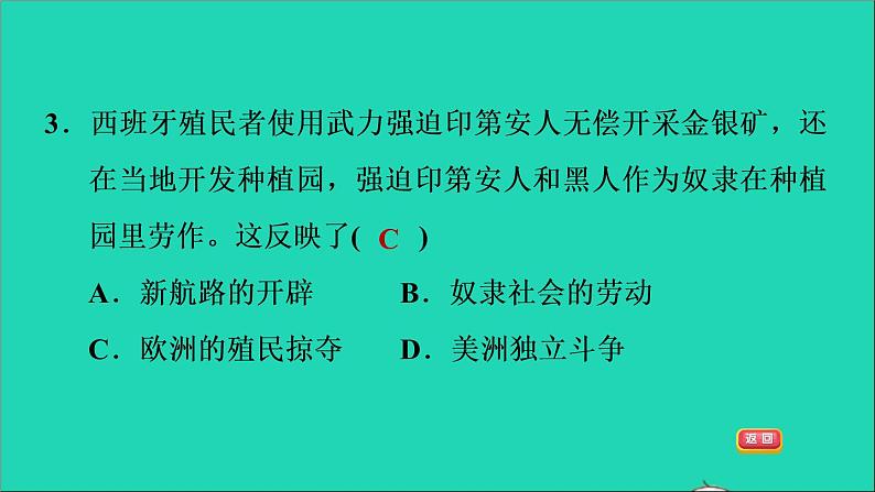 历史人教版九年级上册同步教学课件第5单元走向近代第16课早期殖民掠夺105