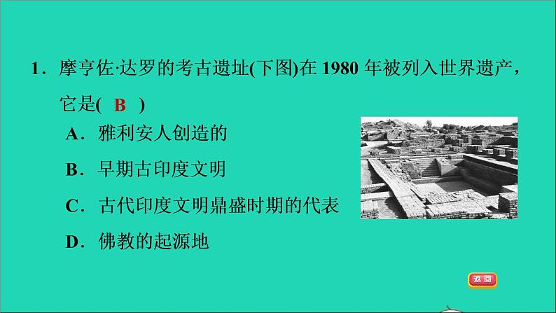 历史人教版九年级上册同步教学课件第1单元古代亚非文明第3课古代印度1第3页