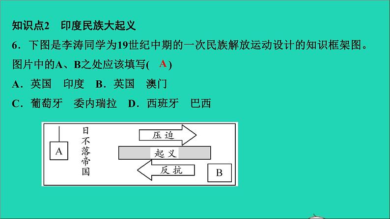 历史人教版九年级下册同步教学课件第1单元殖民地人民的反抗与资本主义制度的扩展第1课殖民地人民的反抗斗争作业第7页