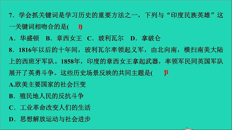 历史人教版九年级下册同步教学课件第1单元殖民地人民的反抗与资本主义制度的扩展第1课殖民地人民的反抗斗争作业第8页