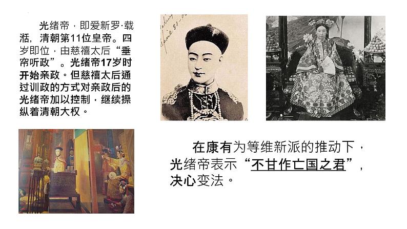 2.6戊戌变法课件 2022-2023学年部编版八年级历史上册05