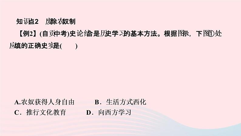 历史人教版九年级下册同步教学课件第1单元殖民地人民的反抗与资本主义制度的扩展第2课俄国的改革作业第5页