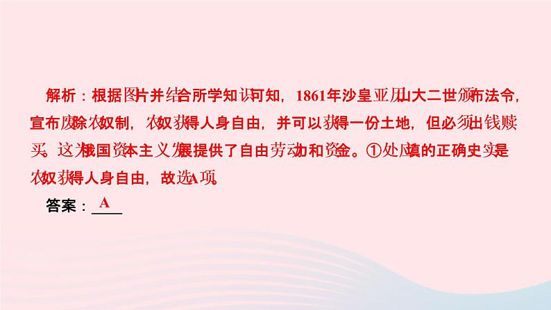 历史人教版九年级下册同步教学课件第1单元殖民地人民的反抗与资本主义制度的扩展第2课俄国的改革作业第6页