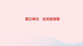历史人教版九年级下册同步教学课件第3单元第1次世界大战和战后初期的世界过关自测卷作业