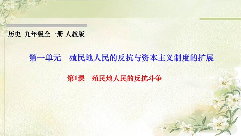 人教部编版九年级历史下册第1课殖民地人民的反抗斗争PPT课件第1页
