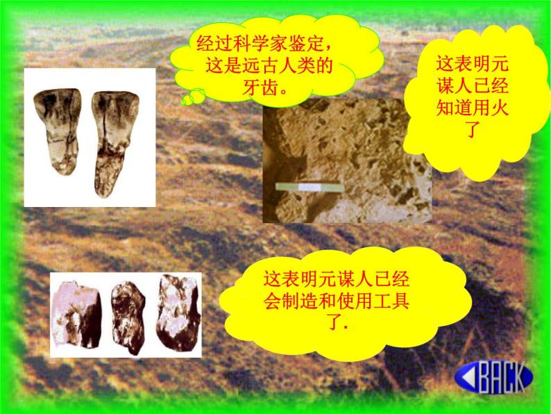 人教版七年级历史上册第1课《 中国早期人类的代表—北京人》课件06