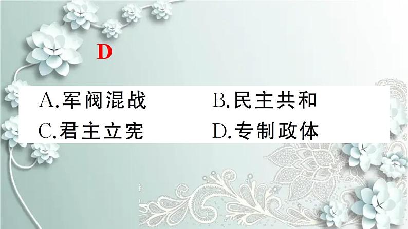部编版历史八年级上册 第12课 新文化运动 习题课件第3页