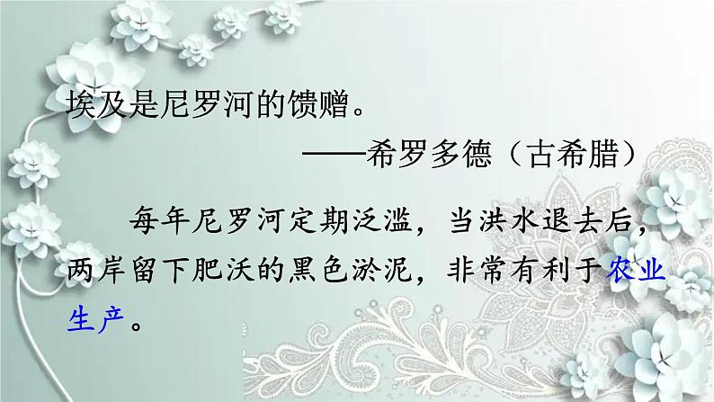 部编版历史九年级上册 第1课 古代埃及 课件第6页