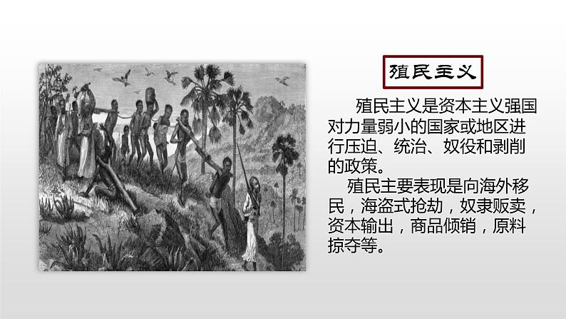 部编版九年级历史上册--第16课 早期殖民掠夺(精品课件)第2页