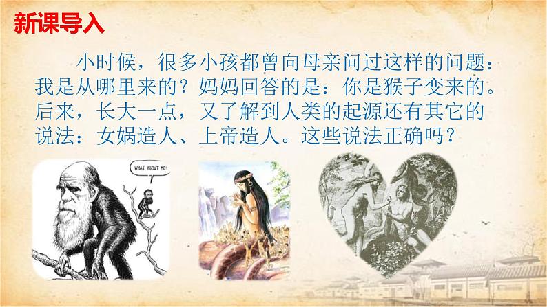 人教部编版七初中历史七年级上册1.1中国早期人类的代表——北京人 课件02