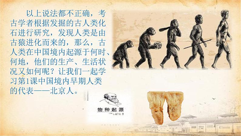 人教部编版七初中历史七年级上册1.1中国早期人类的代表——北京人 课件03