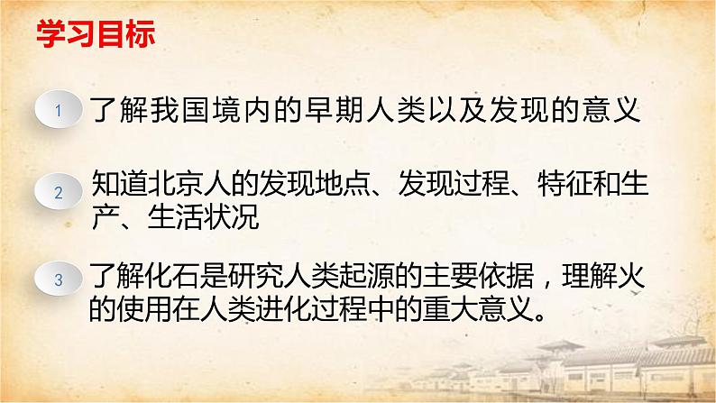 人教部编版七初中历史七年级上册1.1中国早期人类的代表——北京人 课件04