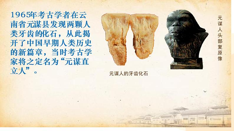 人教部编版七初中历史七年级上册1.1中国早期人类的代表——北京人 课件06