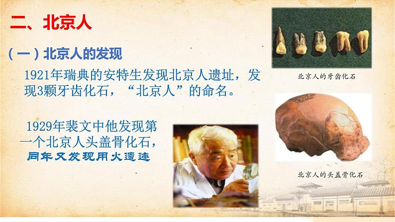 人教部编版七初中历史七年级上册1.1中国早期人类的代表——北京人 课件08
