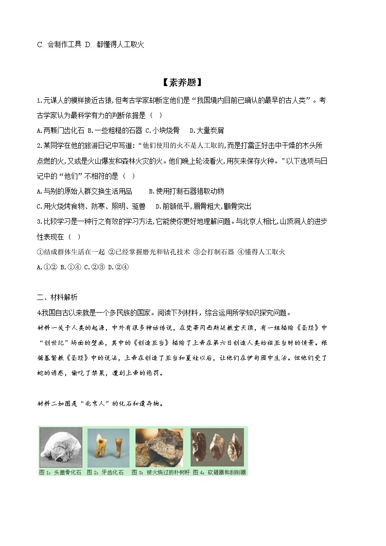2022-2023学年人教版七年级历史上册 第1单元 第1课 中国境内早期人类的代表——北京人(巩固练习)第2页