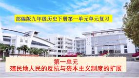 第一单元殖民地人民的反抗与资本主义制度的扩展复习 课件---2021-2022学年初中历史部编版九年级下册
