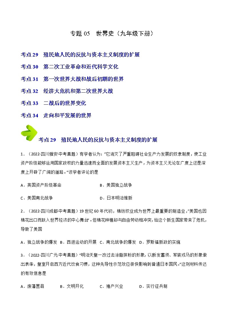 專題05 世界史（九年級下冊）（原卷版）第1頁