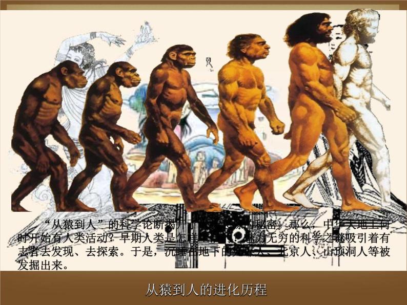 第1课 中国早期人类的代表——北京人 课件03