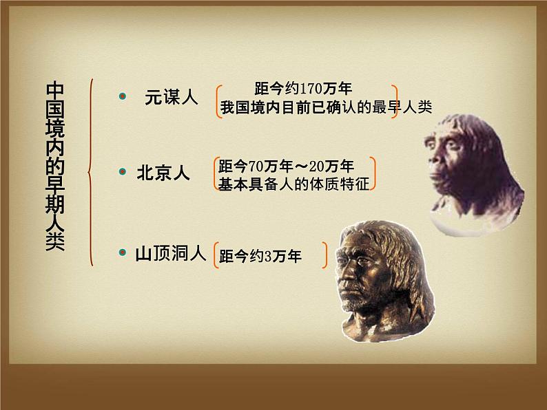 第1课 中国早期人类的代表——北京人 课件第4页