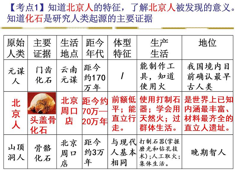 第一单元 史前时期:中国境内早期人类与文明的起源 单元复习课件第5页