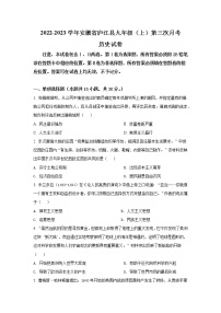 2022-2023学年安徽省庐江县九年级（上）第三次月考历史试卷