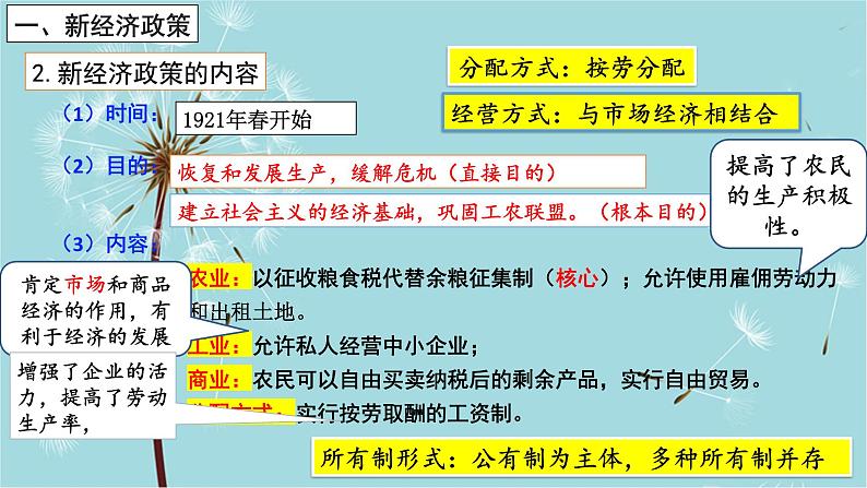 人教部编版历史九年级下册 第三单元 第十一课 苏联的社会主义建设 课件06