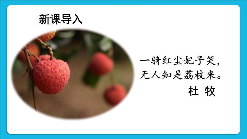 第一单元 隋唐时期:繁荣与开放的时代 第5课 安史之乱与唐朝衰亡 课件+教案02