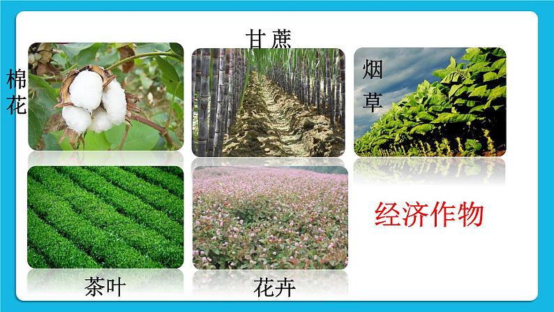 第三单元 明清时期:统一多民族国家的巩固与发展 第19课 清朝前期社会经济的发展 课件+教案04