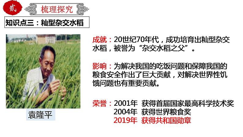 初中历史中考复习 专题23 科技文化与社会生活(课件)-【中考培优】2022年中考历史一轮复习精品课件+专项训练(部编版)第8页