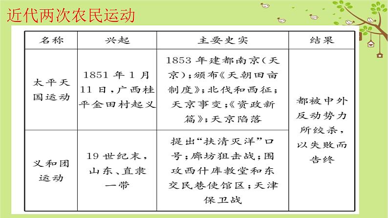 部编版历史八年级历史上册期末复习课件06