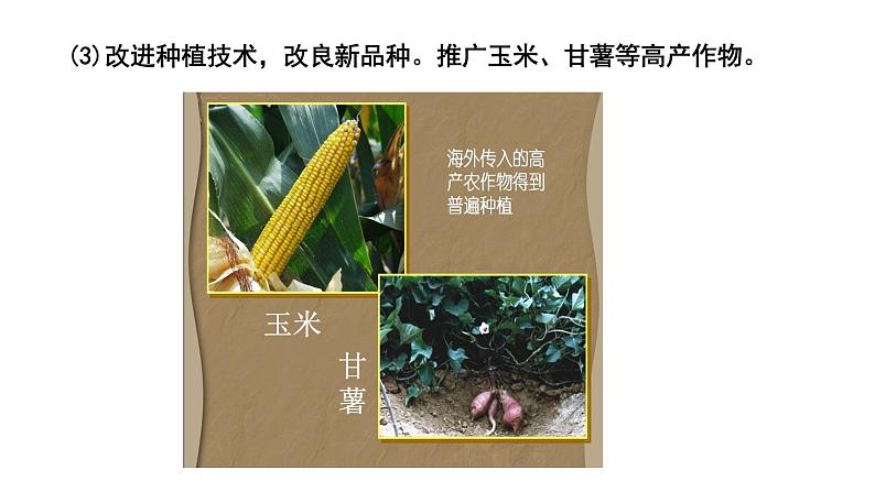部编版七年级历史下册--第19课 清朝前期社会经济的发展(精品课件)第8页