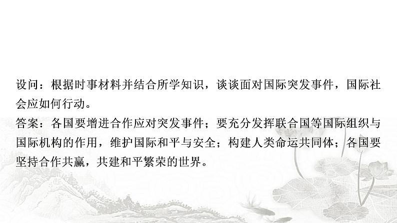 中考历史复习热点专题五两次世界大战和20世纪世界政治格局的演变教学课件第4页