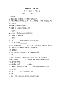 初中历史人教部编版七年级下册第4课 唐朝的中外文化交流学案设计