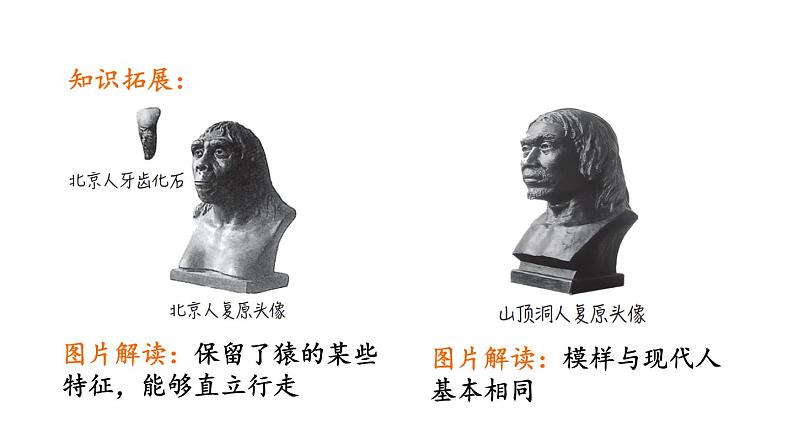 部编版历史中考一轮复习--教材知识梳理1. 史前时期:中国境内早期人类与文明的起源(复习课件)第7页