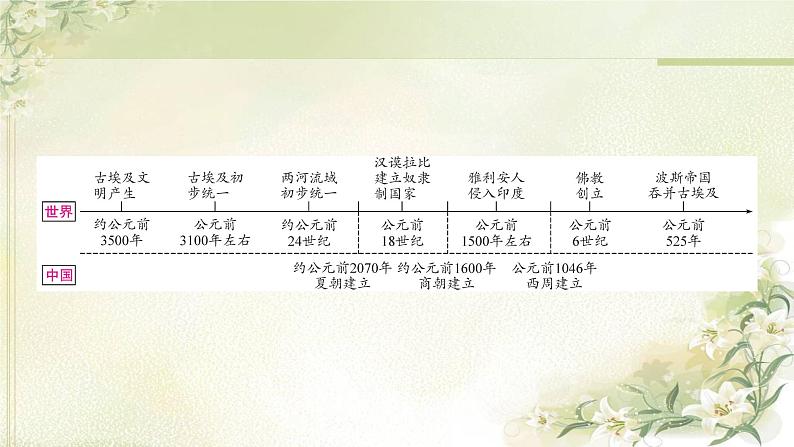中考历史复习世界古代史第一单元古代亚非文明教学课件第4页