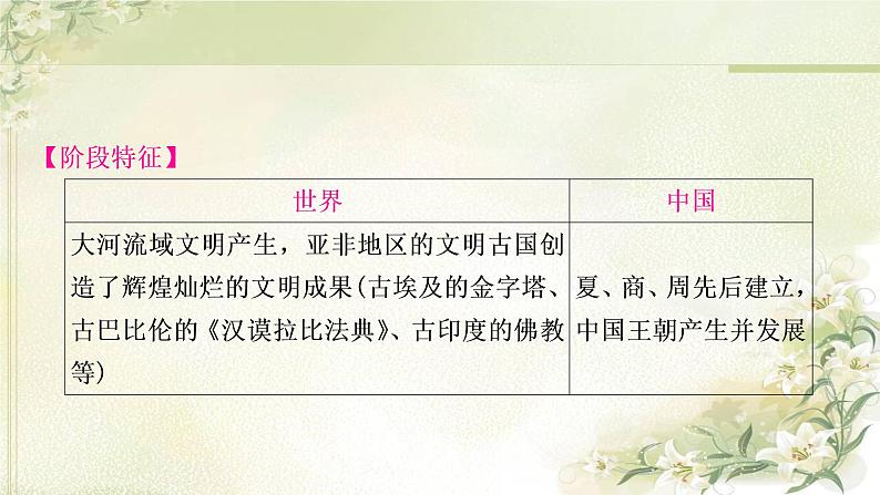 中考历史复习世界古代史第一单元古代亚非文明教学课件第5页